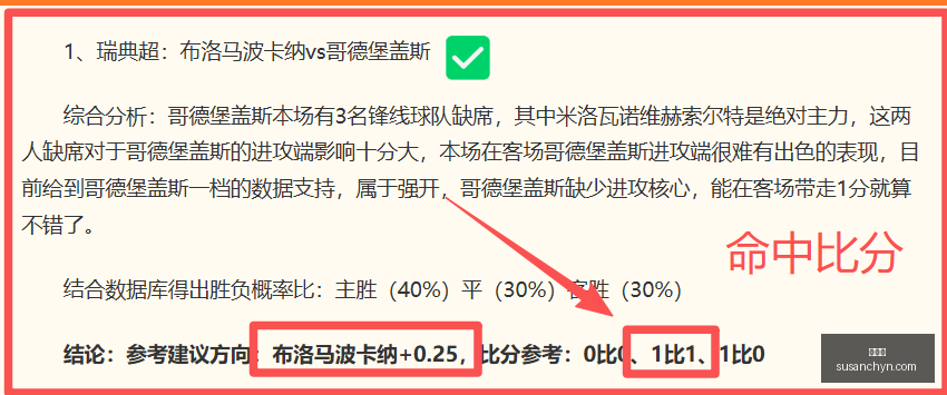 判罚杨明洋,手球点球,约尼查一蹴,金年会,年度盛典,活动策划,节日庆典,娱乐活动,创意聚会,社交平台,金年会活动